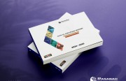 Rasanah Issues Annual Strategic Report 2024-2025