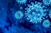 Five Growth Drivers for the Post-Coronavirus Economy