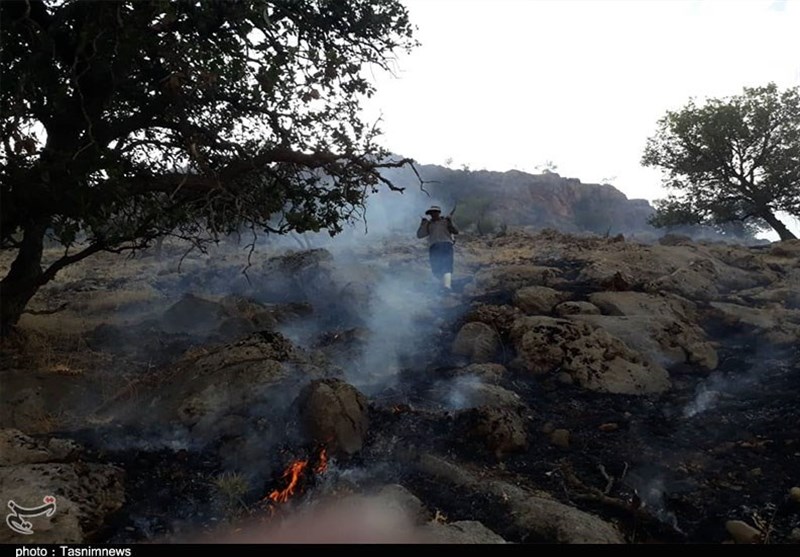 6 حرائق في مراعي همدان.. واستمرار اشتعال النيران بغابات دمتشنار