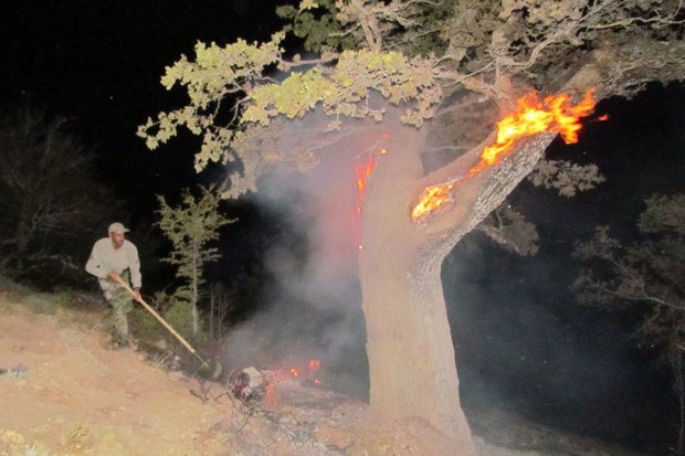 اندلاع حرائق في غابات كيالان بمحافظة لورستان